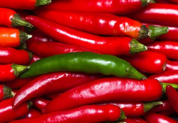 Black Pepper Does Not Contain Capsaicin.png